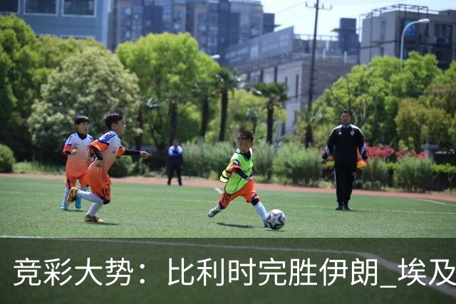 竞彩大势：比利时完胜伊朗 埃及赢球可期